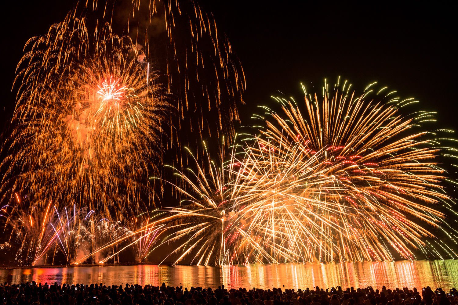 🏖️ 미쿠니 선셋 비치 이미지 9